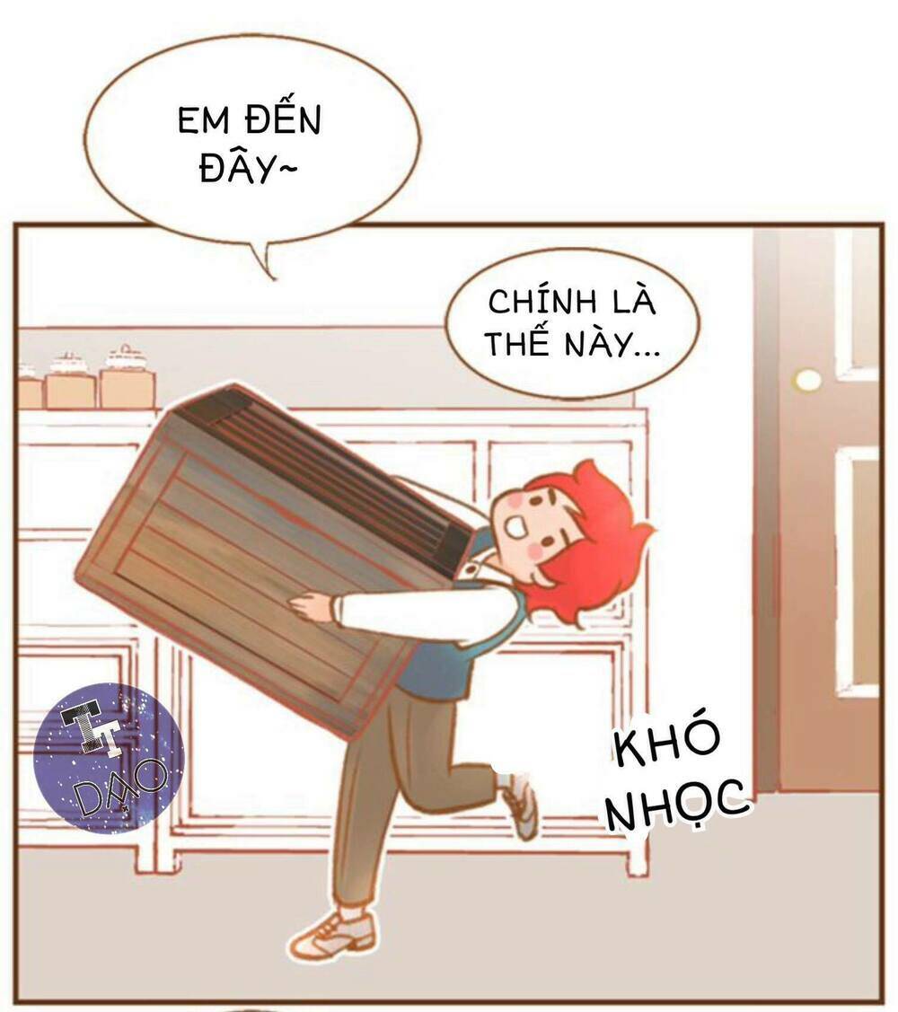 tân lang yếu tòng tiểu dưỡng khởi chapter 3 41