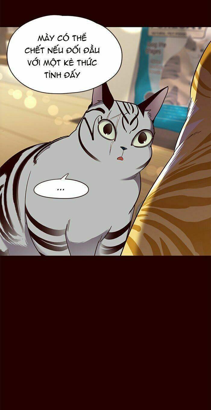 biến thân thành mèo chapter 67 41