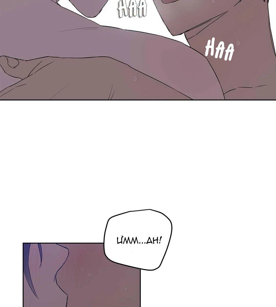 guide cấp b chapter 21 82