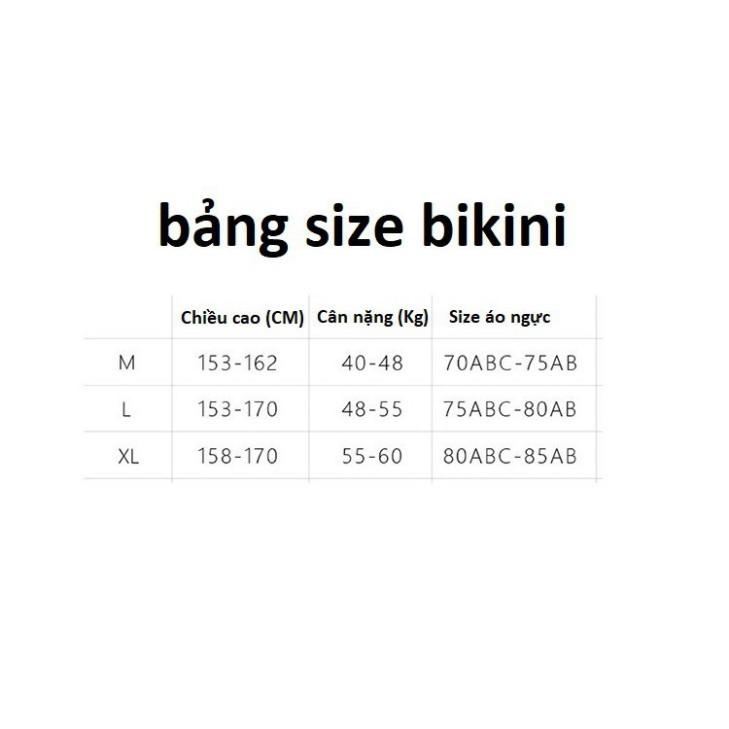 Bộ bikini đi biển cao cấp caro đỏ gạch