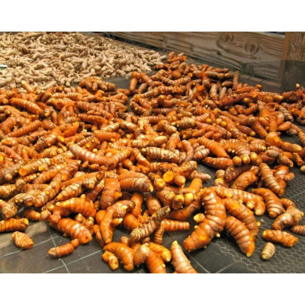 Củ Nghệ Vàng Tươi 1kg