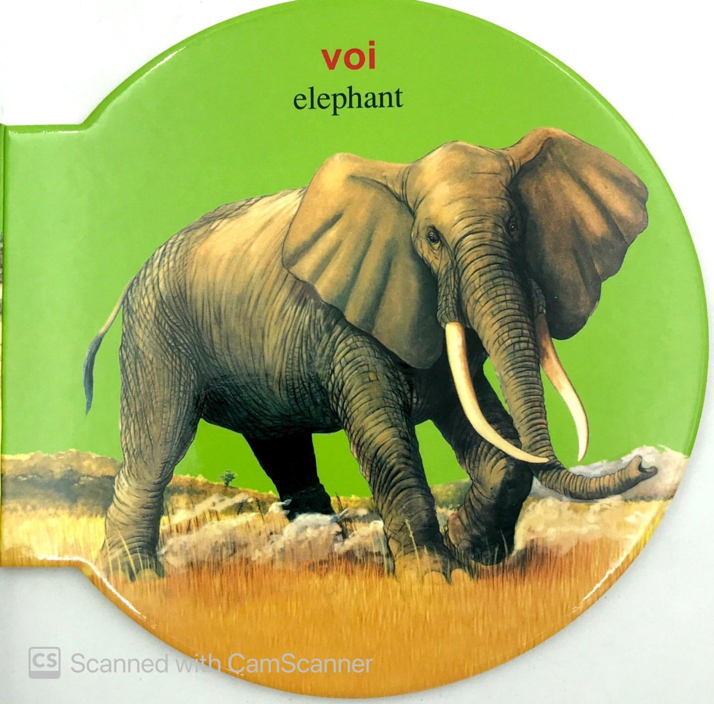 Từ Điển Anh - Việt Bằng Hình: Wild Animals - Động Vật Hoang Dã