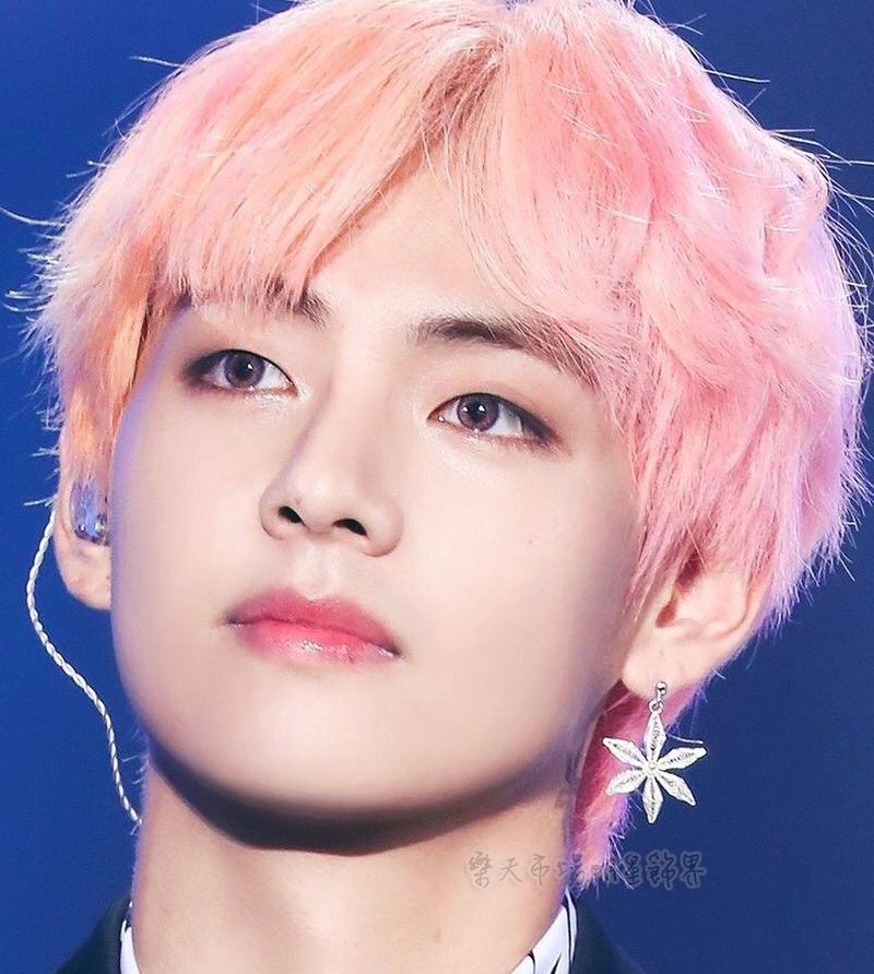 Hoa tai Bangtan BTS V Kim Taehyung bông tai cánh hoa