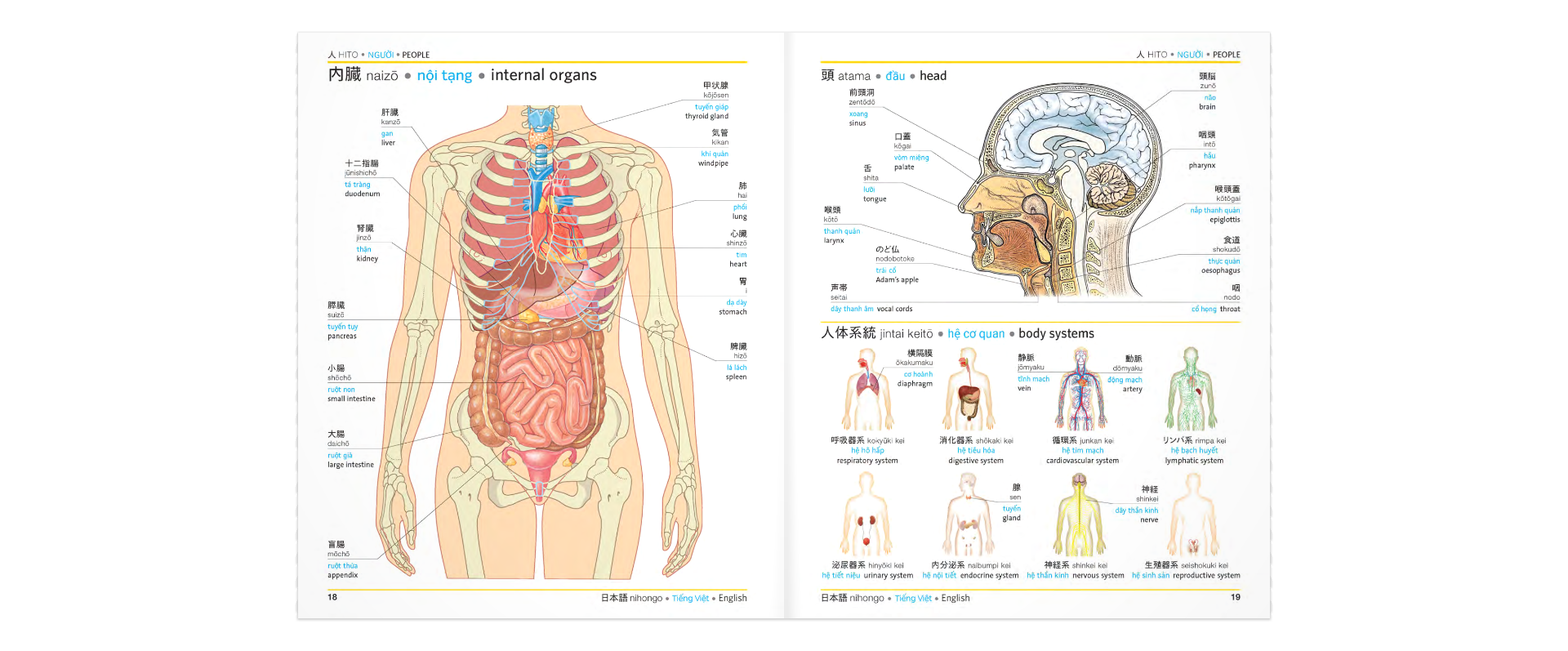 DK Trilingual Visual Dictionary – Japanese-Vietnamese-English