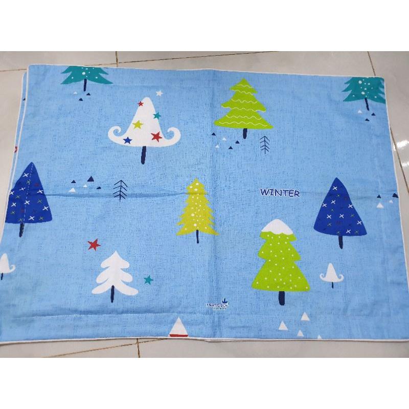 Cặp Áo gối cotton 40x60/50x70