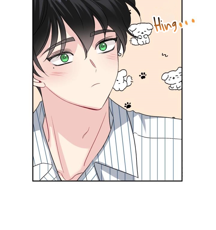 xác suất tình yêu chapter 67 57