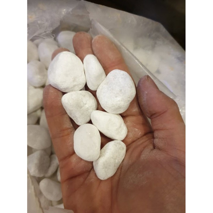 Sỏi trắng trang trí cỡ đại