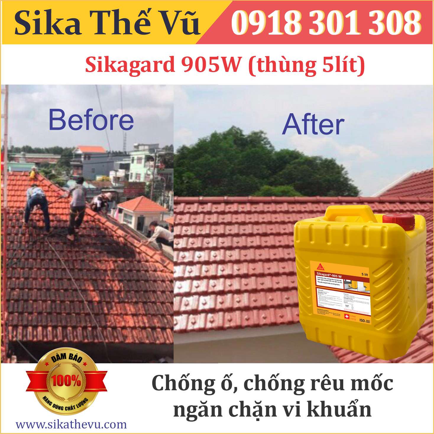 Chống ố, rêu mốc thẩm thấu không màu - Sikagard 905W (thùng 5lít)