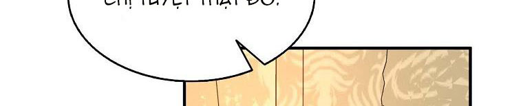 tôi sẽ cố gắng bảo vệ em gái chapter 26 100