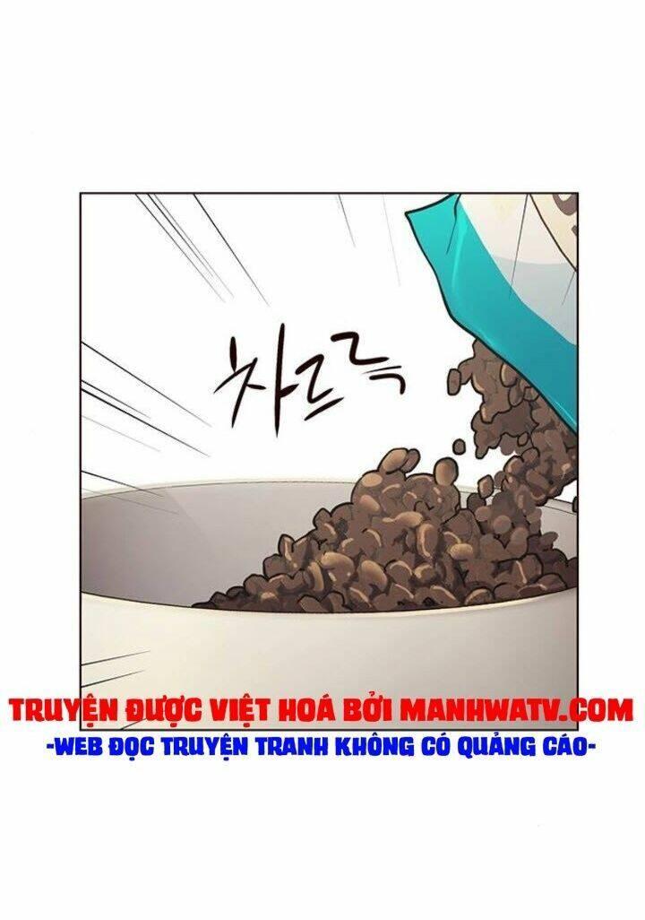 biến thân thành mèo chapter 143 24