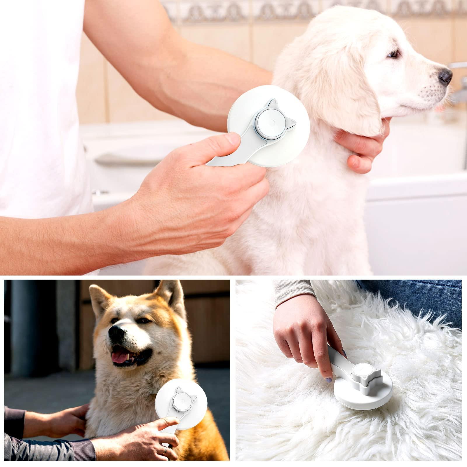 Chải chó mèo, bàn chải tự làm sạch tóc đã tự làm sạch chải tóc, cho chó chó  hiệu quả các rối tóc tomentose