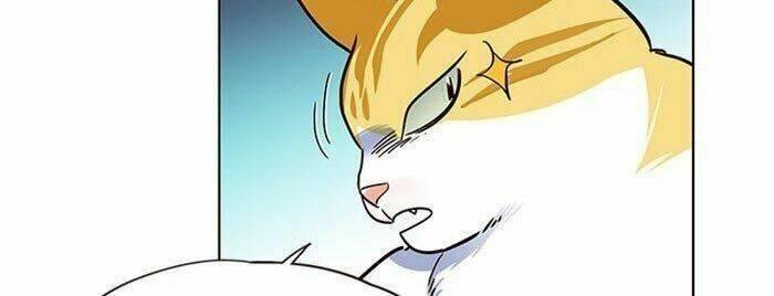 biến thân thành mèo chapter 36 81