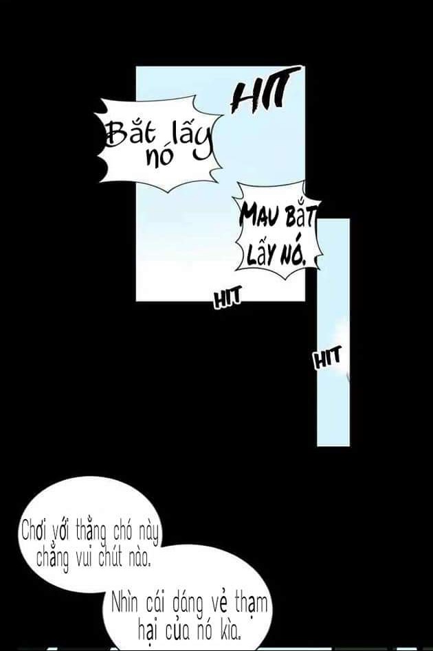 a witch’s hopeless wish chapter 1 5