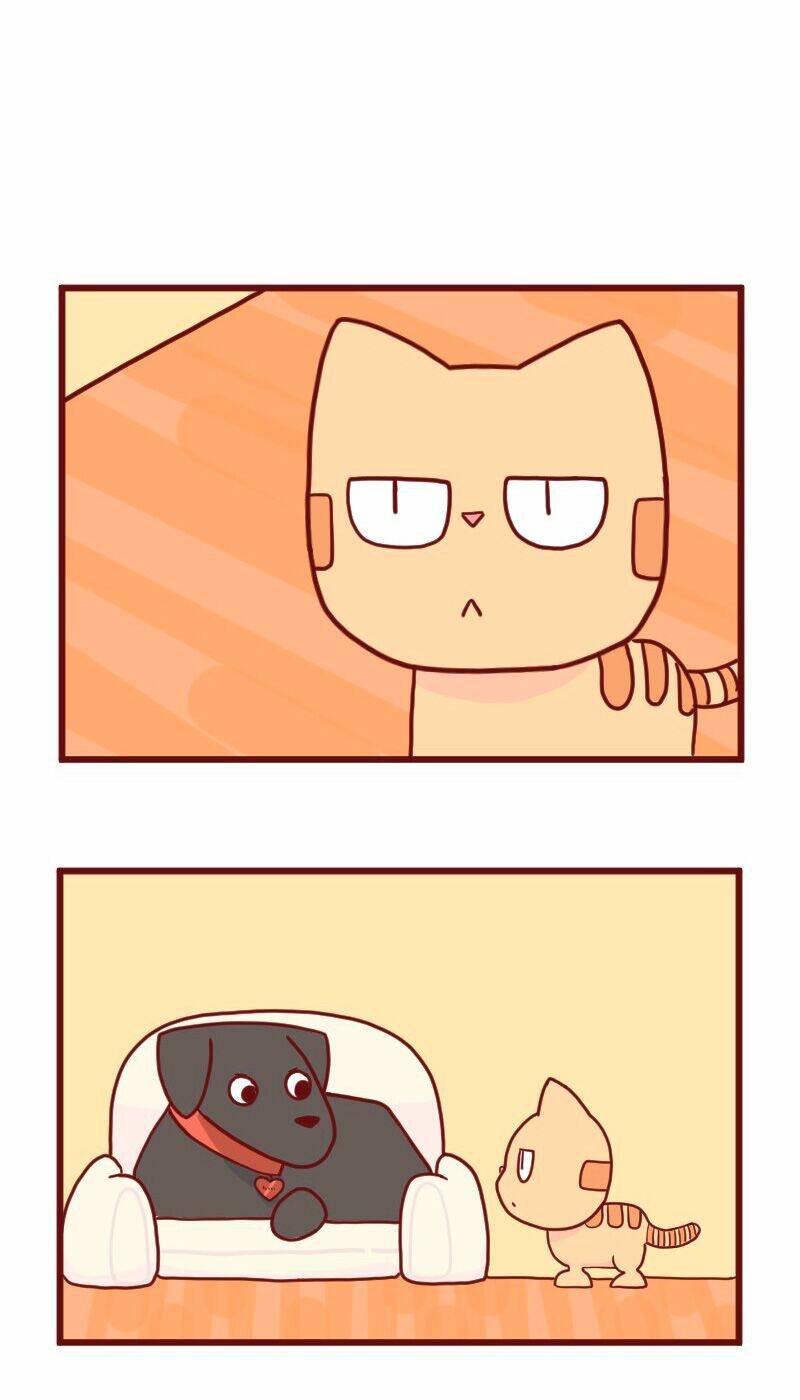 saphie: chú mèo một mắt chapter 15 2