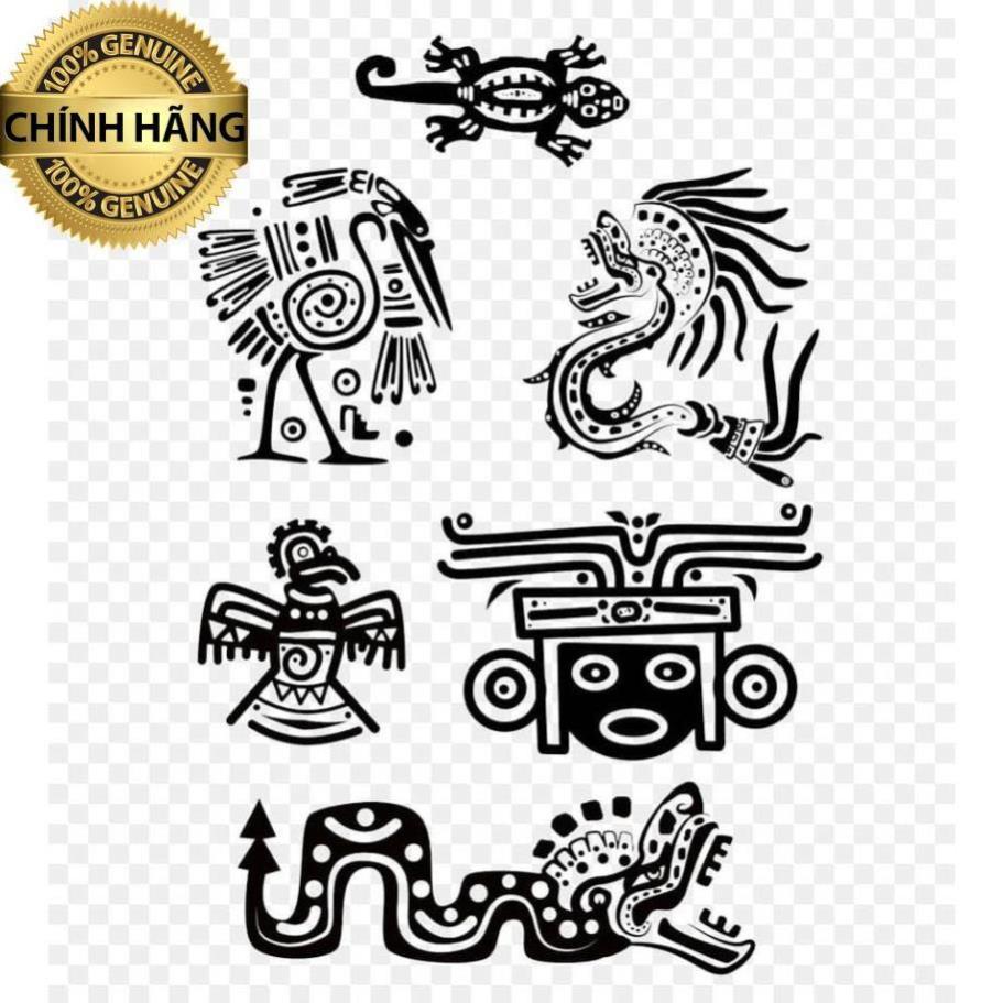 TỔNG HỢP DÂY TRỐNG ĐỒNG RAM TRADITIONAL - HÀNG CHÍNH HÃNG