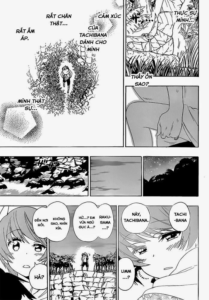 nisekoi - tình yêu giả tạo chapter 171 16