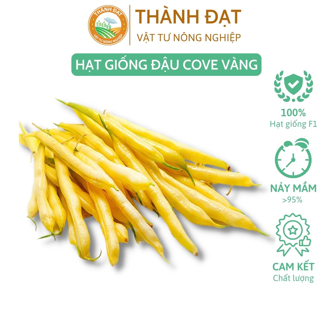 Hạt giống đậu cove vàng (đậu cô bơ) bụi lùn siêu trái - Gói 50gr