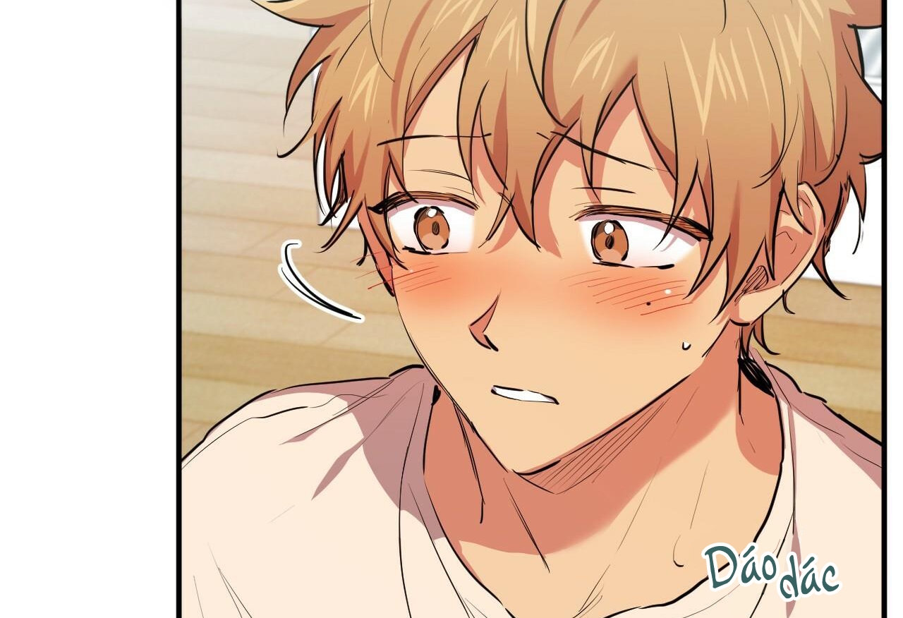 đàn thỏ của habibi chapter 28 203