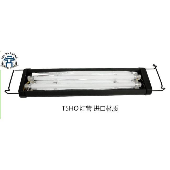 Đèn Odyssea T5HO 60-80cm