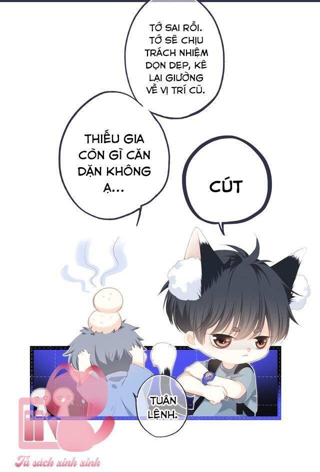 con tim rung động 2 chapter 147 40