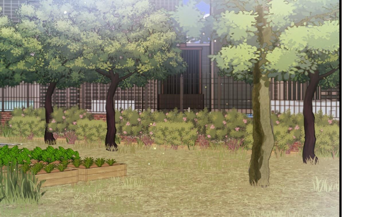 đàn thỏ của habibi chapter 33 242