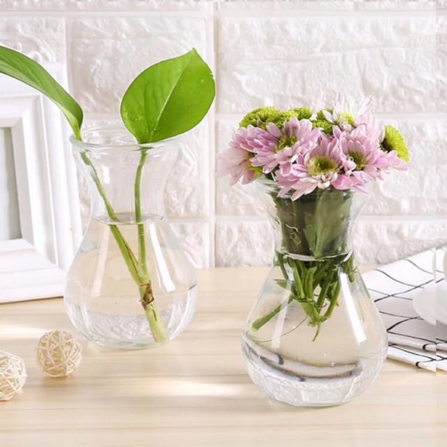 Combo 2 Lọ hoa thủy tinh miệng loe 14cm, lọ cây thủy tinh trang trí bàn làm việc cực đẹp