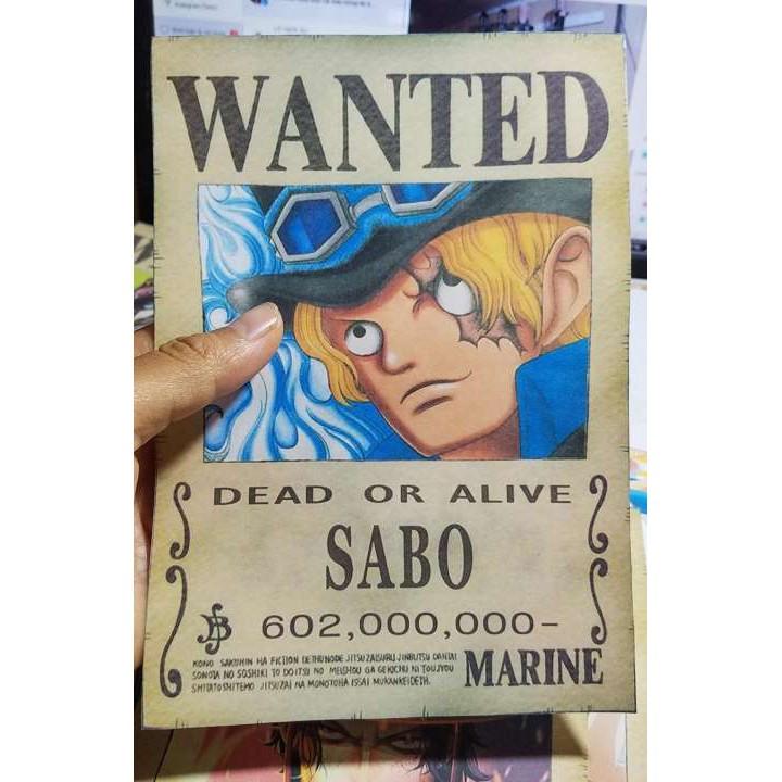 Bộ 3 tấm truy nã Ace Sabo Luffy tặng kèm Law trong onepiece wanted poster mỏng