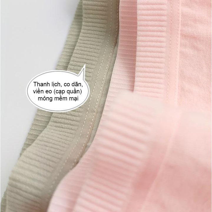 Combo 5 Quần lót nữ kiểu nhật bản thoáng khí chất liệu cotton