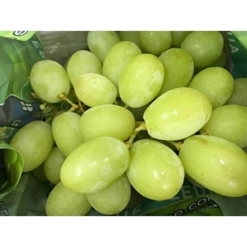 Cây nho giống Không hạt AutumnCrisp - Giống nho mới 2021 của Úc - Màu xanh