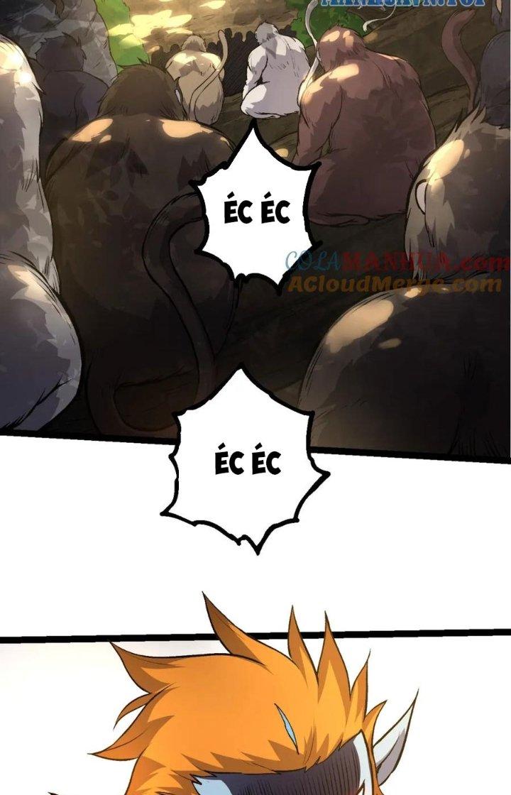 từ cây cổ thụ bắt đầu tiến hóa chapter 71 20