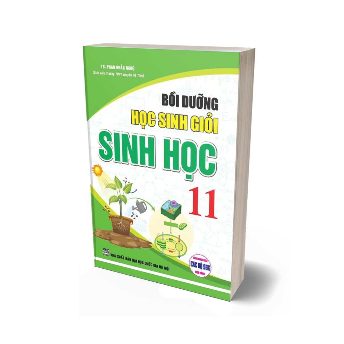 Bồi Dưỡng Học Sinh Giỏi Sinh Học 11 (Dùng Chung Cho Các Bộ SGK Hiện Hành)