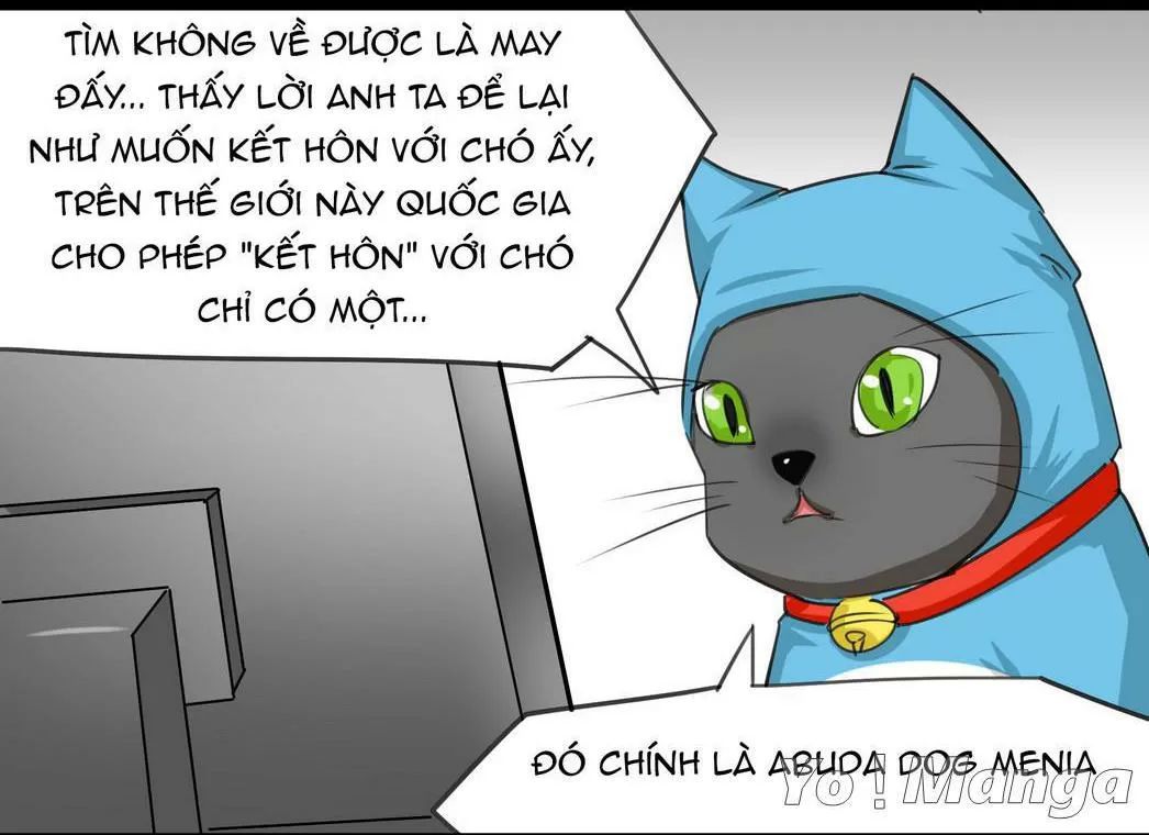 một con chó chapter 51 7