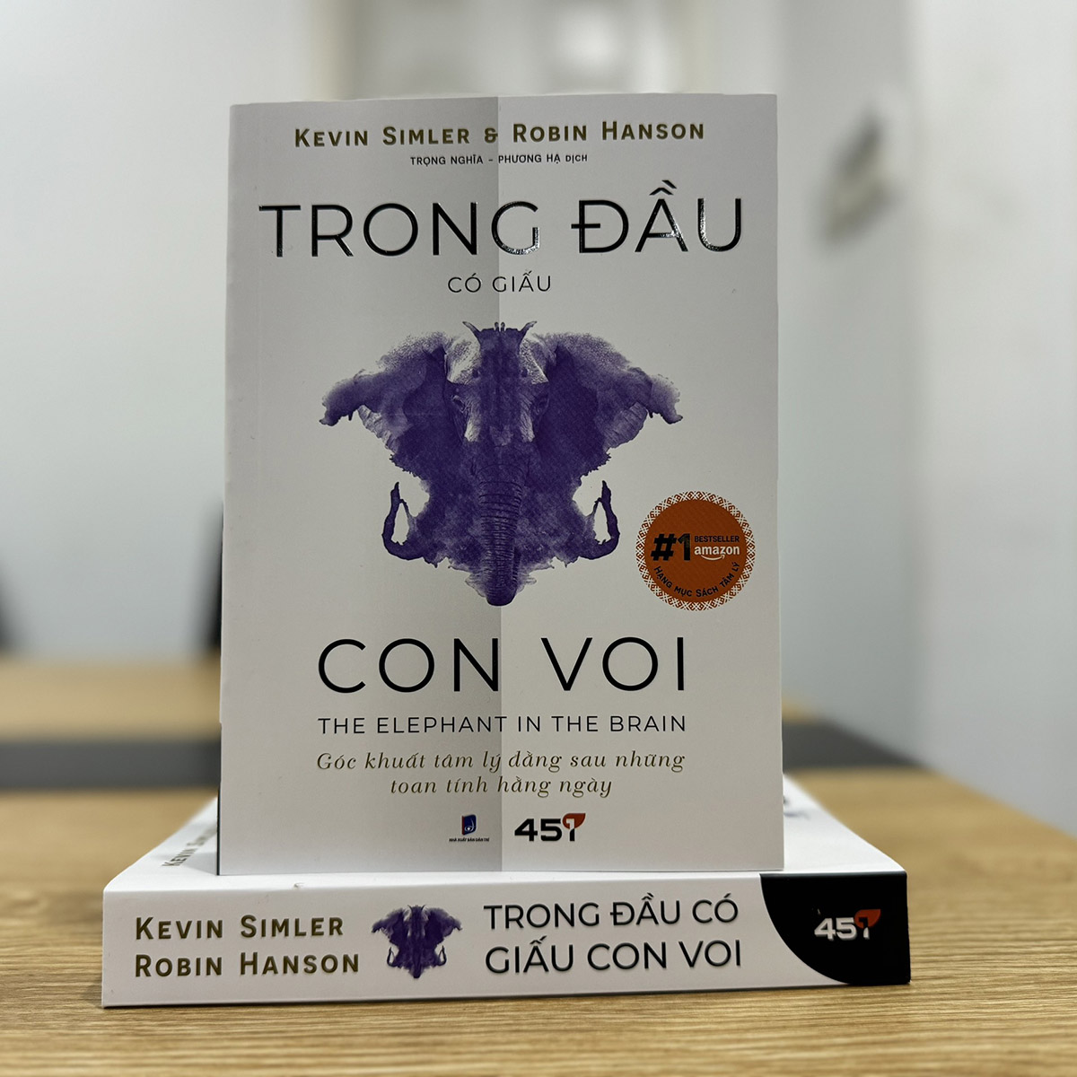 Trong Đầu Có Giấu Con Voi