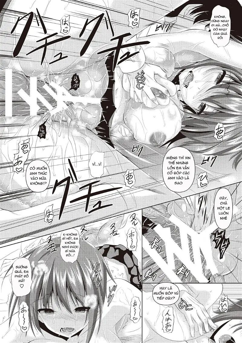 ahecolle chapter 11 19