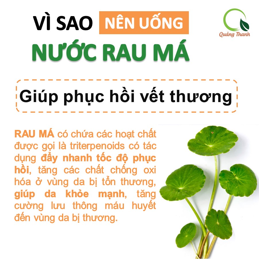 Bột rau má sấy lạnh Quảng Thanh, bịch 50gr - Giải độc, mát gan, thanh nhiệt cơ thể, giảm mụn, đẹp da