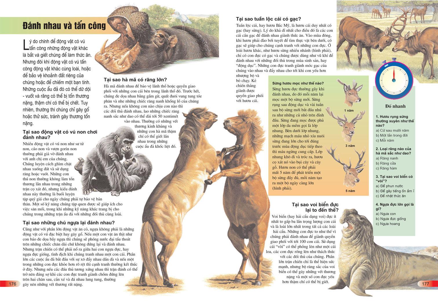 Sách Bách Khoa Tri Thức Cho Trẻ Em - Câu Hỏi Và Trả Lời (Tái Bản)