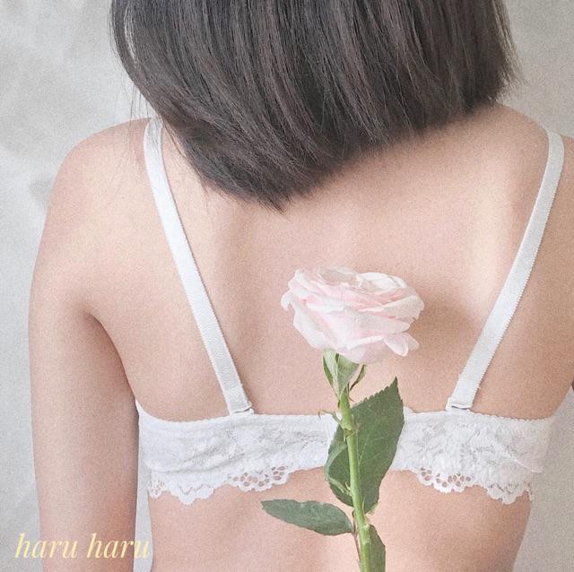 Áo lót nữ ren xịn hàng Việt Nam Haruharulabel