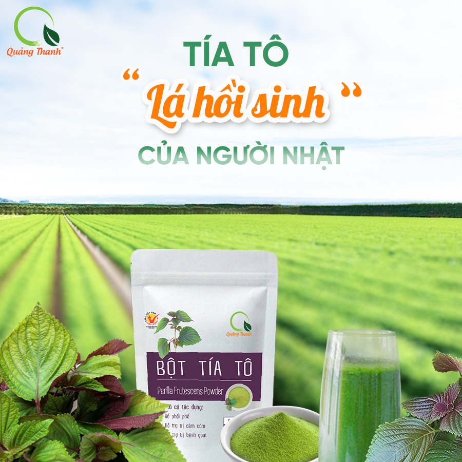 Combo Bột Tía Tô và Bột Diếp Cá 30g - Mát Gan, Hỗ Trợ Vấn Đề Tiêu Hóa, Bổ Phổi Phế, Hỗ Trợ Tăng Sức Đề Kháng- CHÍNH HÃNG