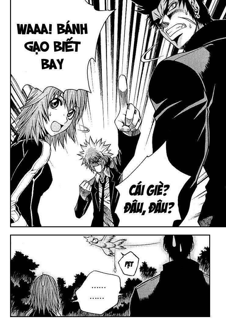 zippy ziggy chapter 10 6