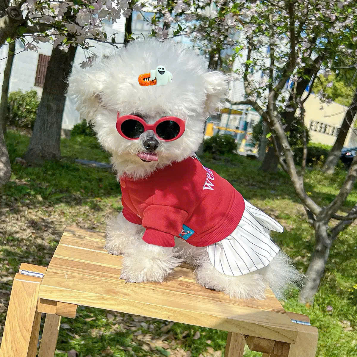 NƠ KẸP TÓC BUỘC TÓC CÀI TÓC THỜI TRANG DỄ THƯƠNG HALLOWEEN MÃ 35 CHO THÚ CƯNG CHÓ MÈO