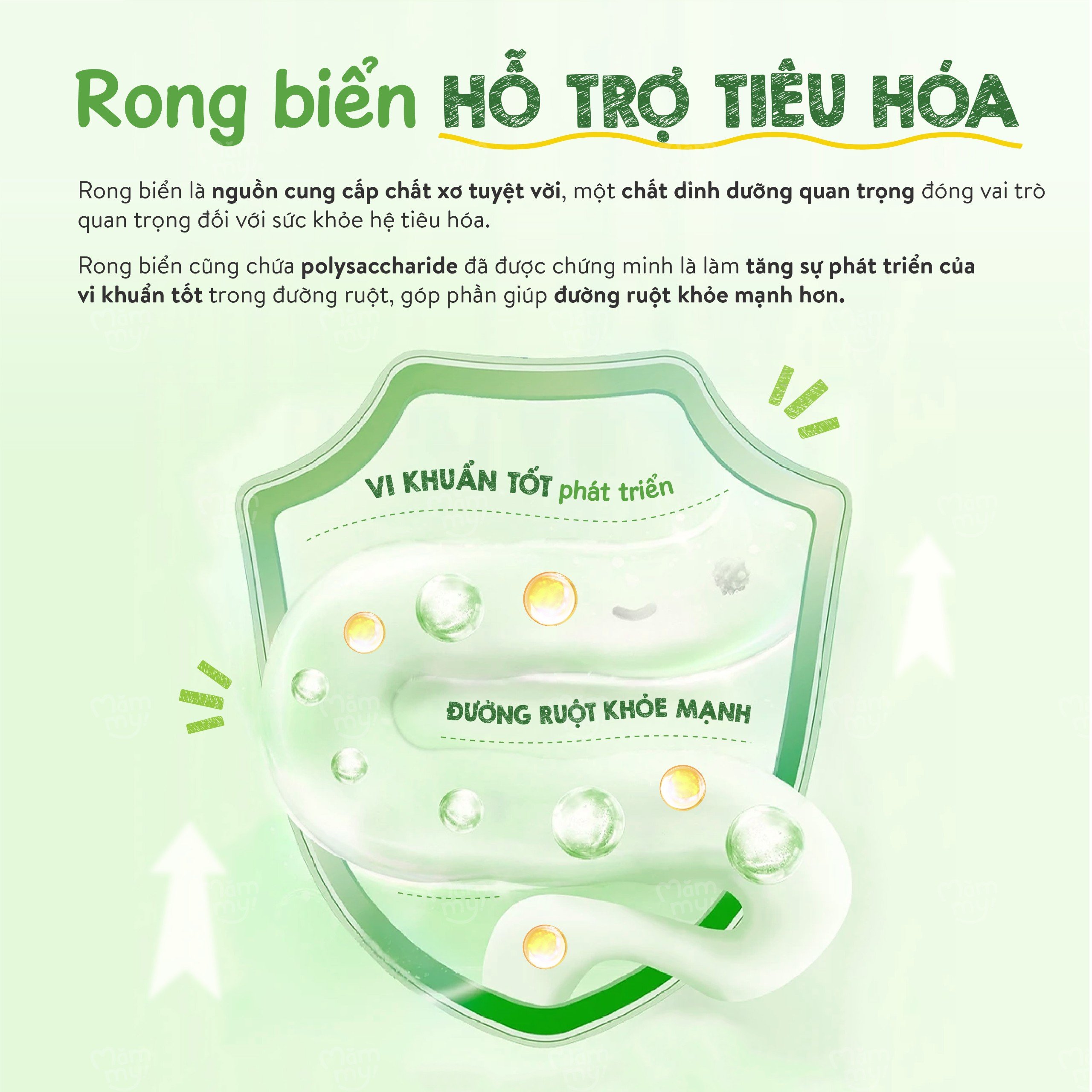 Rong biển rắc cơm Mămmy ít mặn, không tanh, tăng hương vị cho bé, phù hợp cho bé 6 tháng tuổi