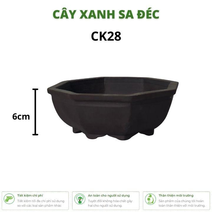 Bộ chậu lục giác mini màu ngẫu nhiên nâu, đen CK28 trồng hoa, cây cảnh để bàn, cây bonsai mini