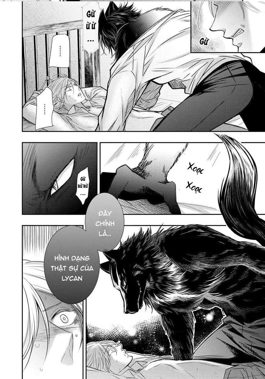 say tình [bl] chapter 80 28