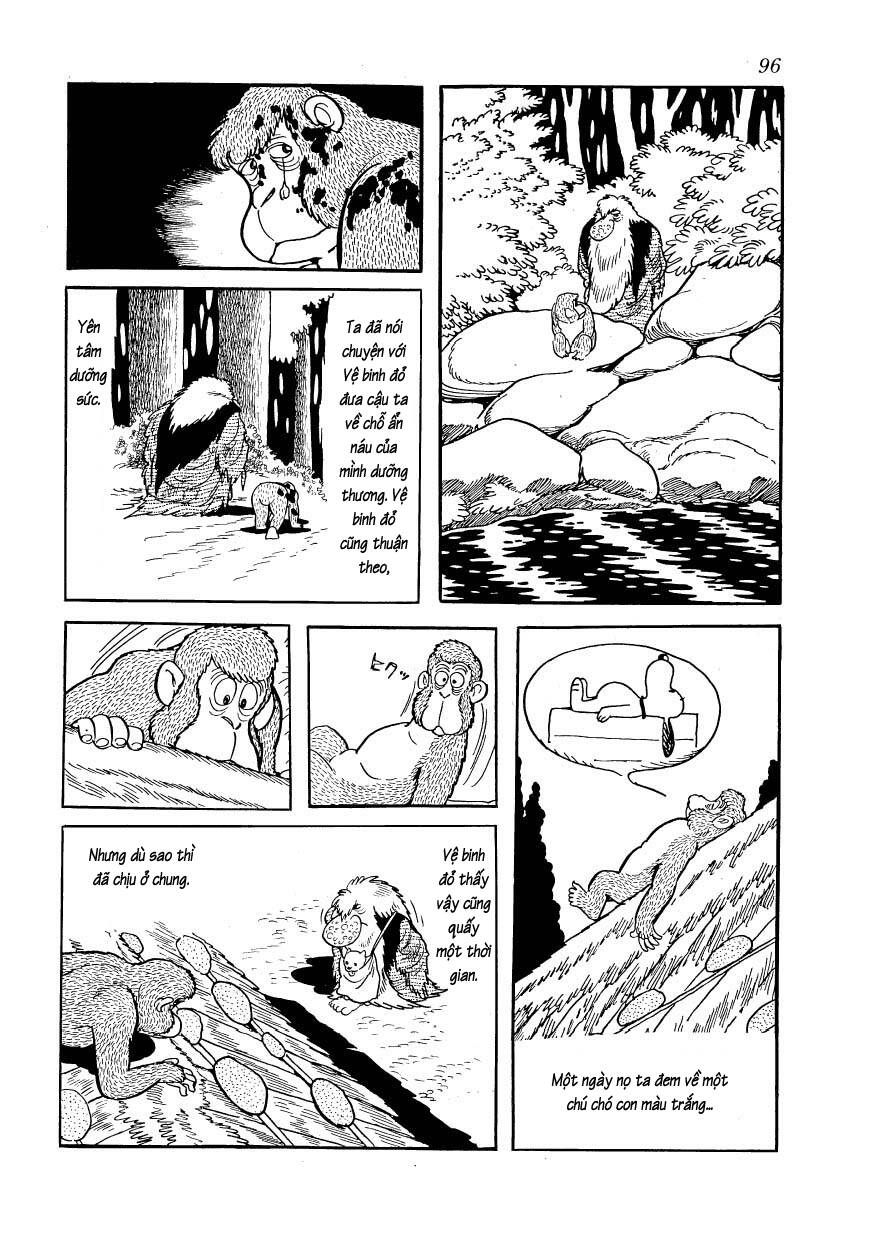 chim lửa chapter 80 14