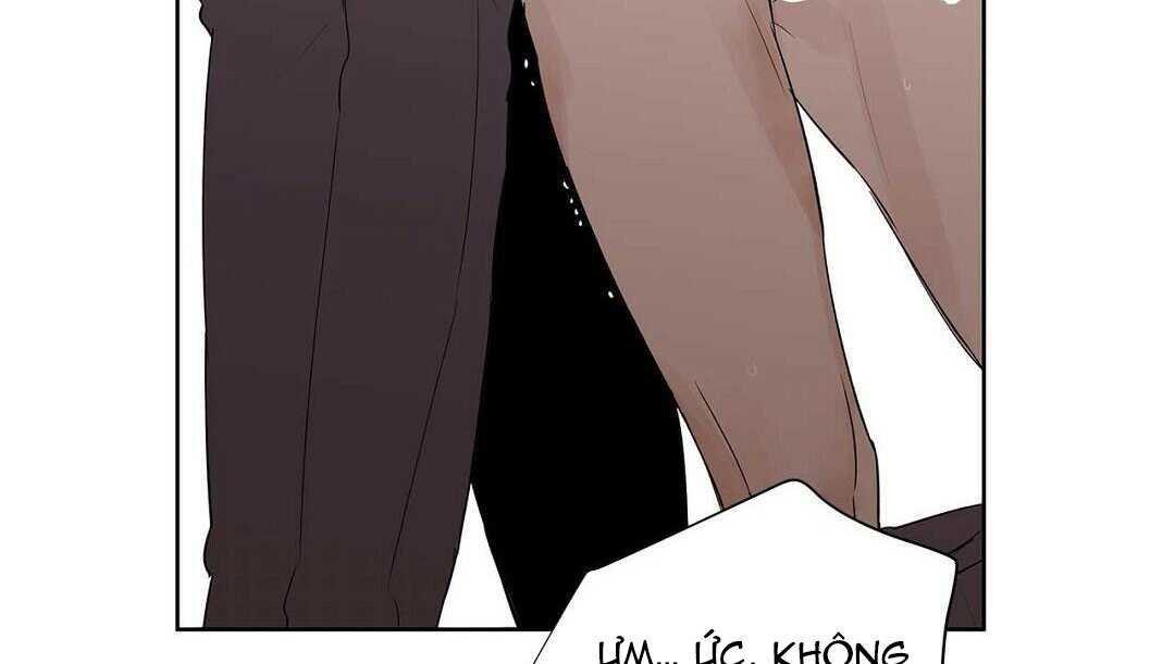 guide cấp b chapter 41 176