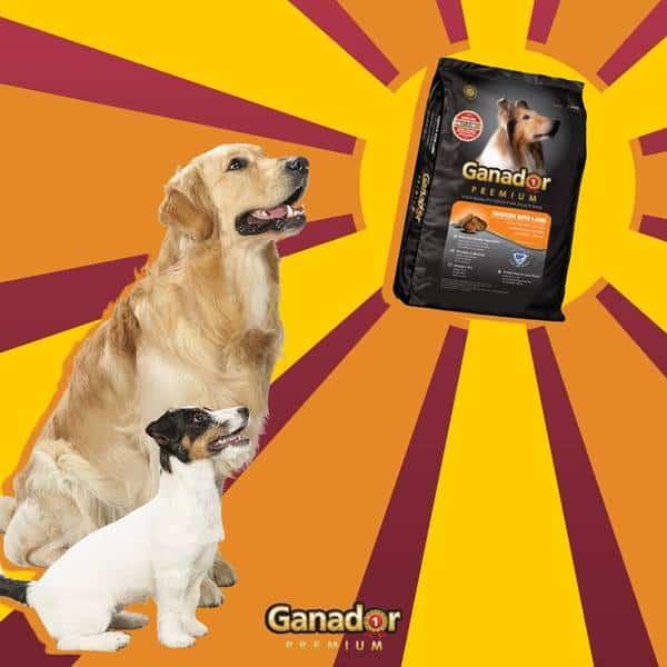 20KG Thức ăn cho chó trưởng thành Ganador vị thịt cừu &amp; gạo - Ganador Adult Lamb &amp; Rice - Thức ăn hạt cho Chó