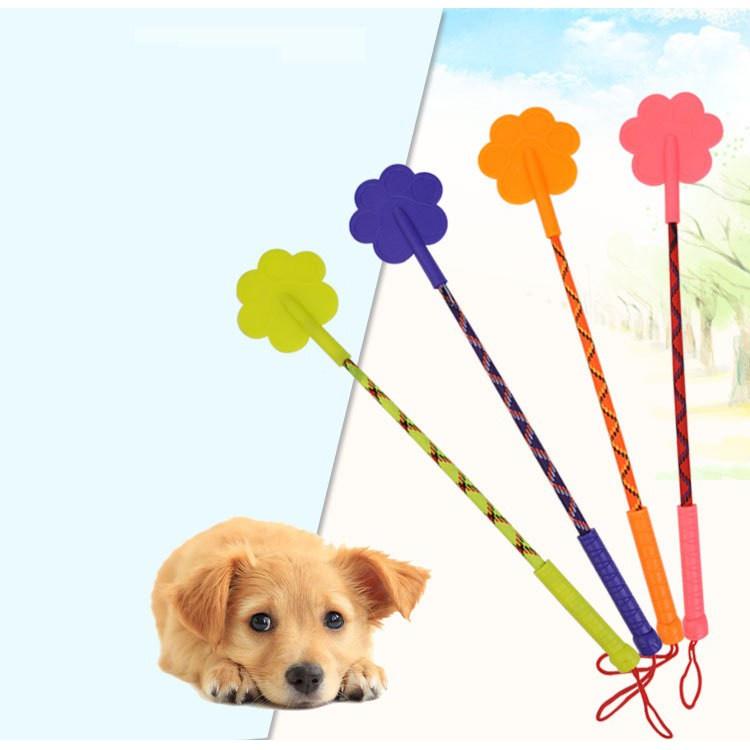 GẬY HUẤN LUYỆN CHÓ MÈO - RĂN ĐE CHÓ MÈO