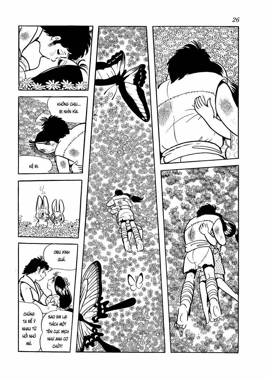 chim lửa chapter 78 3