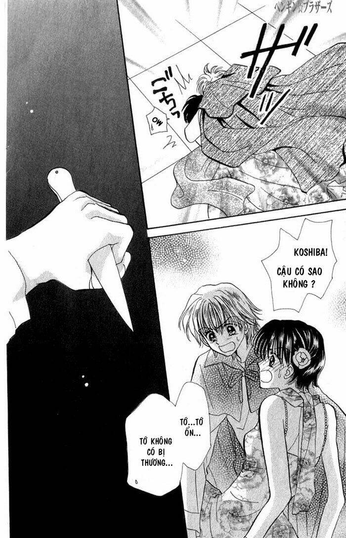 penguin brothers chapter 16 28