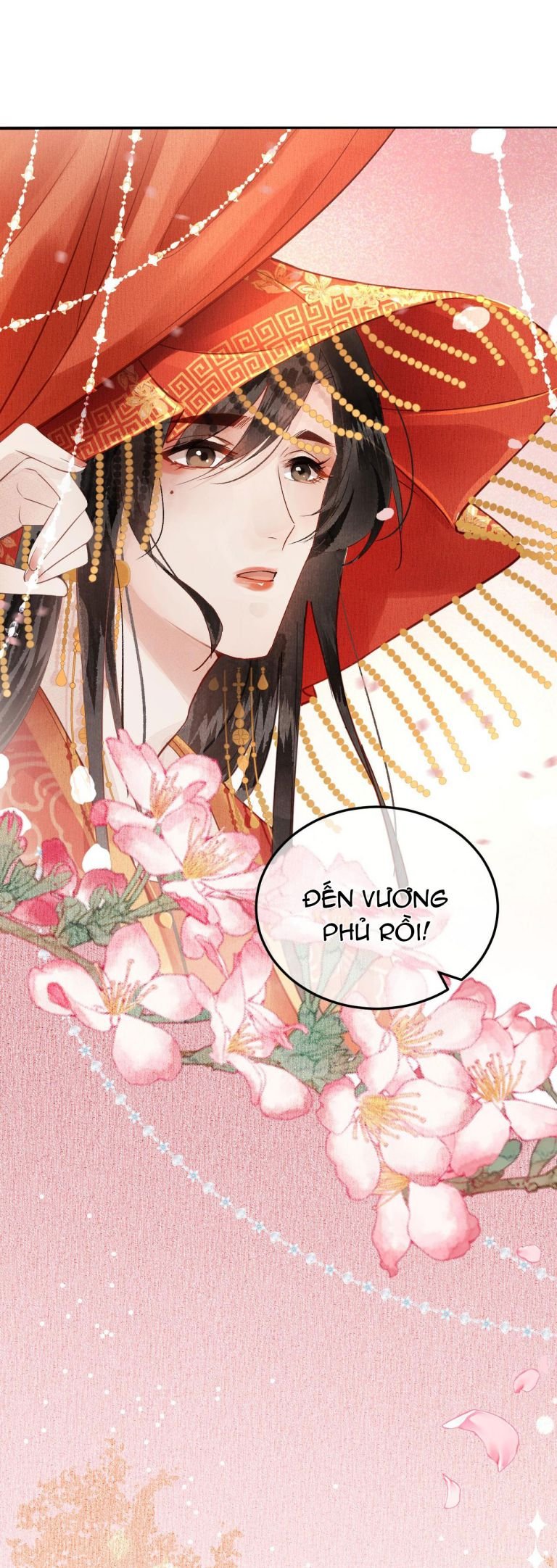 vương phi này là nam nhân chapter 4 12